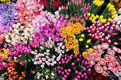 视觉小说《雨中的生命之歌》Steam页面 明年发售