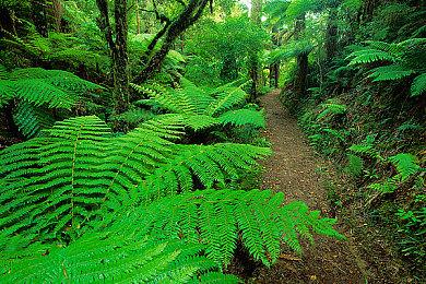 SIE公布2021 PS商城下载量最高游戏 体育游戏上榜最多