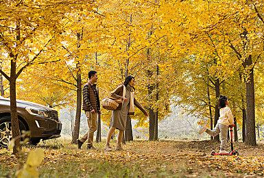 《崩坏：星穹铁道》新角色PV：“希儿”一夜无事