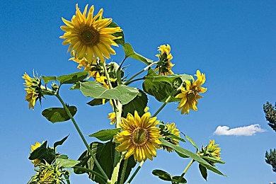 传闻：《麻布仔》《死亡回归》PC设置截图泄露